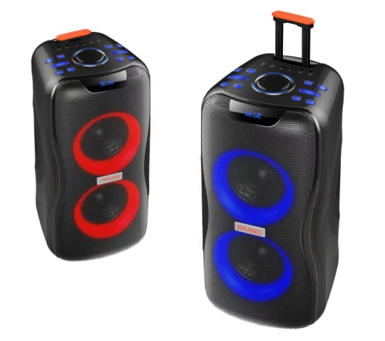 Temeisheng 2022 DJ Box Musik MP3 Party Sound Box 100W Professionelle Tragbare Audio Drahtlose Bluetooth PRO Lautsprecher Mit Mikrofon
